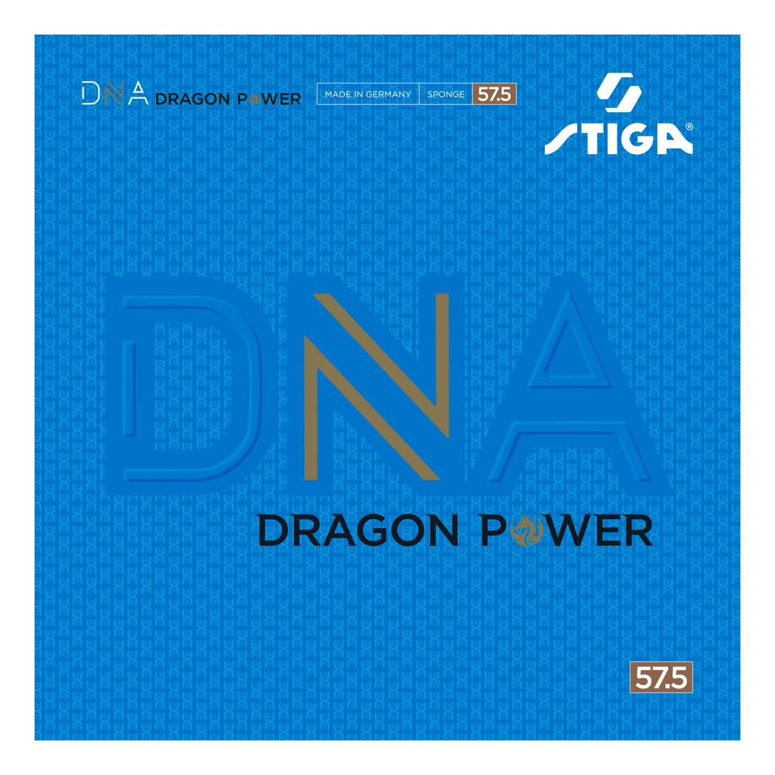 DNA Dragon Power XH