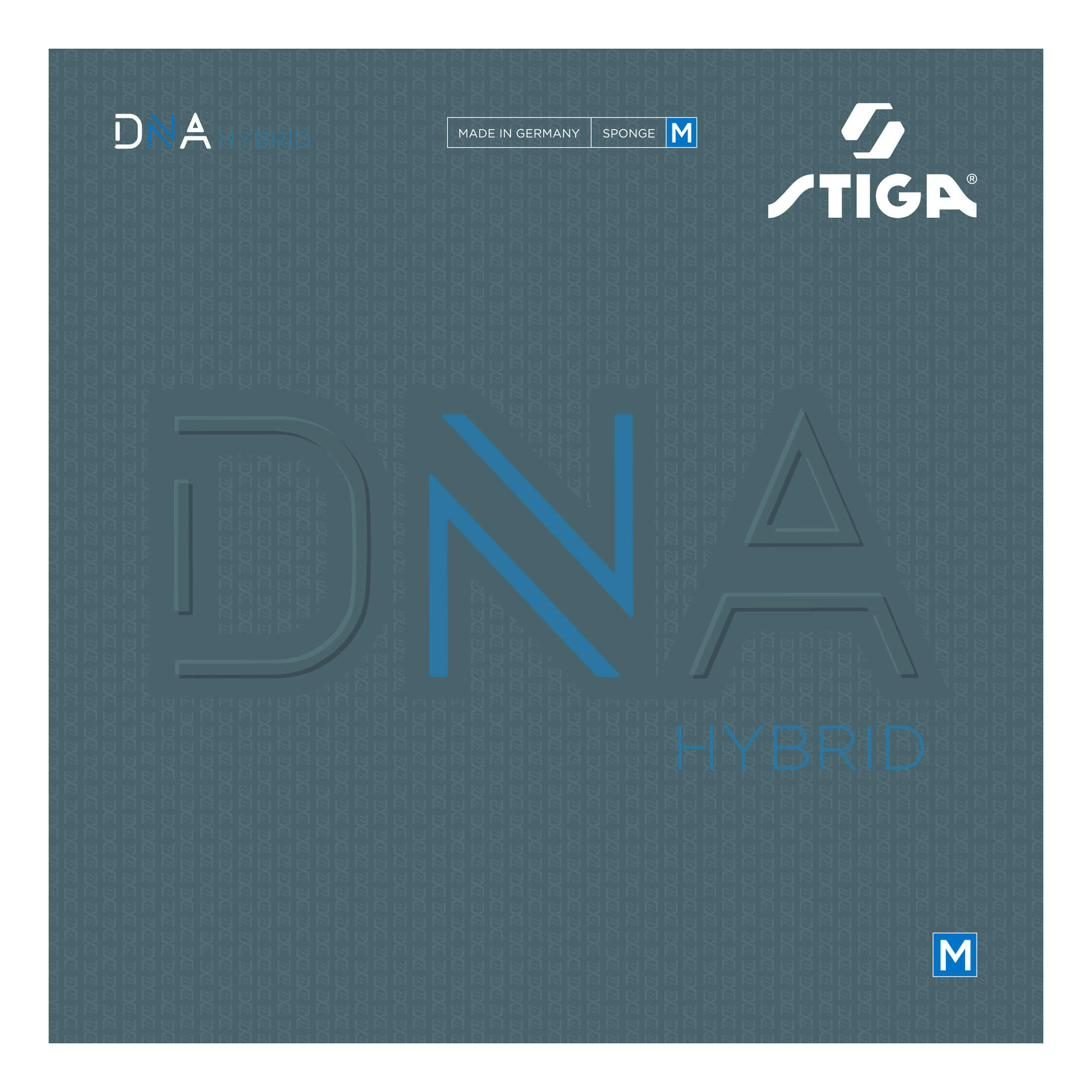 DNA Hybrid M